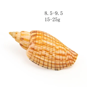 9-10 cm Novega Koruza Polžev Seashell Koruza Conch Vzorcu Plaža Dekor za Dom Fish Tank in Akvarij Krajinsko DIY Dekoracijo Lupini
