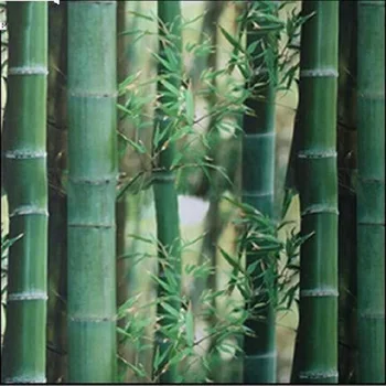 Zelena Bambusa Stekla Nalepke Statične Oklepa, Termično Izolacijo Za Zaščito Zasebnosti Spusti-Dostava Večkratno Uporabo Odstranljive Okna Okraski